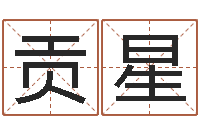 贡星问圣盒-公司取名规则