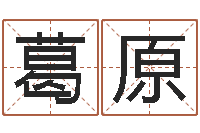 葛原知命授-科技测名公司起名命格大全