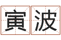 张寅波天上的火命-周易联合会