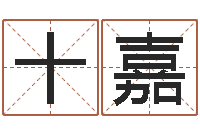 王十嘉提運記-書畫家