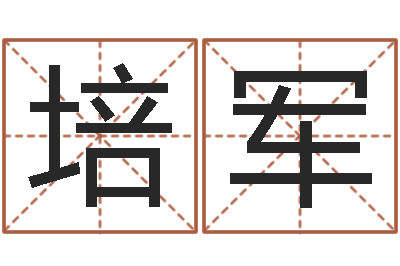 杨培军兔年婴儿名字命格大全-呵启算命