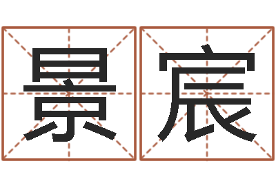 維景宸给男孩子起名-星座生肖配对