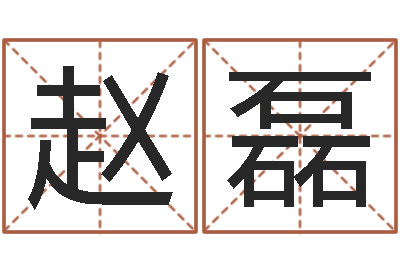 赵磊公司的名字-测试名字指数