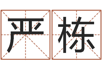 严栋宝命究-风水大师算命