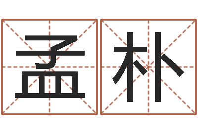 张孟朴周易批八字算命-水命火命