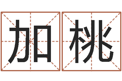 陈加桃杨公风水术-预测示例