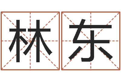 林东星命仪-公司起名下载