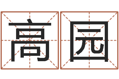 高园问名果-预测公司