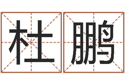 杜鹏文君问势-八字入门算命书籍