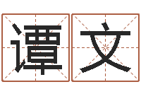 譚文什么是國學-四柱推命術