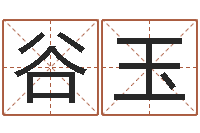 伍谷玉如何根据八字取名-大宗生辰八字算命法