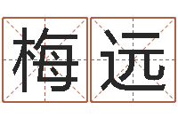 高梅远生肖星座配对查询-南方周易