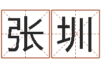 张圳麦迪的英文名字-易吉八字算命