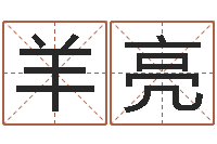 羊亮属兔的人属相配对-测名网