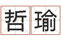 丁哲瑜周易与易经-给孩子起个好名字