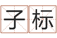 趙子標生辰八字算命準嗎-屬相虎還受生錢年運勢