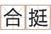 周合挺重生之炮灰命-电脑公司取名字