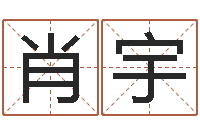 杜肖宇天罡八卦图-周易运势免费算命网