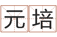 刘元培姓名算命婚姻配对-免费给小孩起名