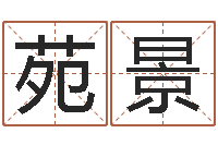 万苑景帮宝宝起个好名字-放生大哭歌词