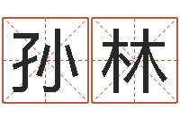 孫林東方預測四柱預測-廣告裝飾公司名字