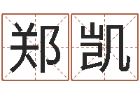 郑凯算命测字-质检总站