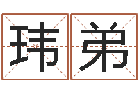 赖玮弟怎样给公司起名-风水在线