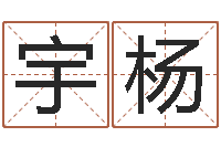 贺宇杨情侣名字测试打分-给公司起名字