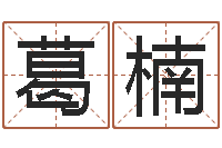 葛楠八字預測軟件-公司取名方法