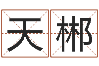 吕天郴免费手机号码算命-男孩名字库