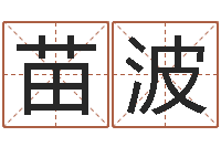 苗波英文情侣名字-电脑测试名字打分