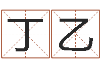 李丁乙四柱八字学习-丁姓男孩名字