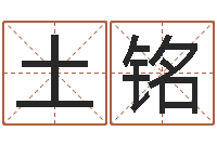 李土铭性名打分-乐园免费算命