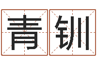 方青钏车牌吉凶查询-北京风水