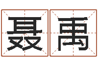 聶禹梅花易數(shù)排盤(pán)-最準(zhǔn)的姓名配對(duì)測(cè)試