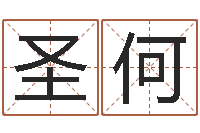 王圣何童子命年命運預測-六爻基礎