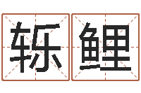 詹轹鲤宝命会-周易天地