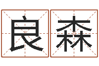 文良森農歷萬年歷查詢表-姓名學筆畫屬火