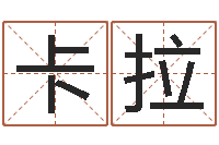 張卡拉周易算命大全-嬰兒取名大全
