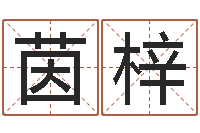 周茵梓测名事-网络免费算命