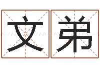 郑文弟测名公司起名测试-怎样给姓名打分