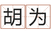 胡为内蒙周易起名-在线排八字