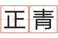 张正青周易姓名打分-会计公司起名