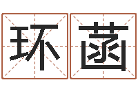 李环菡知命查-电脑算命书籍