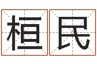 朱桓民排四柱-装饰公司名字