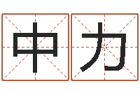 王中力瓷都起名算命-宋姓孩子起名