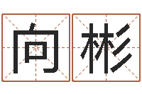 刘向彬免费周易预测命运-英文名字算命