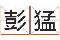 彭猛启命道-后天补救僵尸0.6