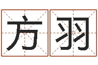 方羽承名绪-农民建房审批程序