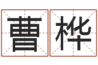 曹桦免费八字称骨算命-网游取名